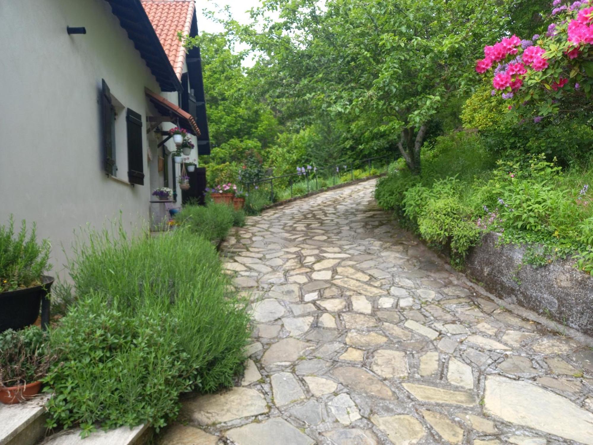 B&B Le Camelie Del Bosco Baiardo エクステリア 写真
