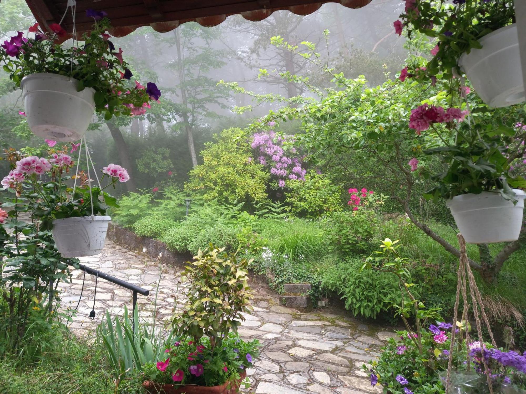 B&B Le Camelie Del Bosco Baiardo エクステリア 写真