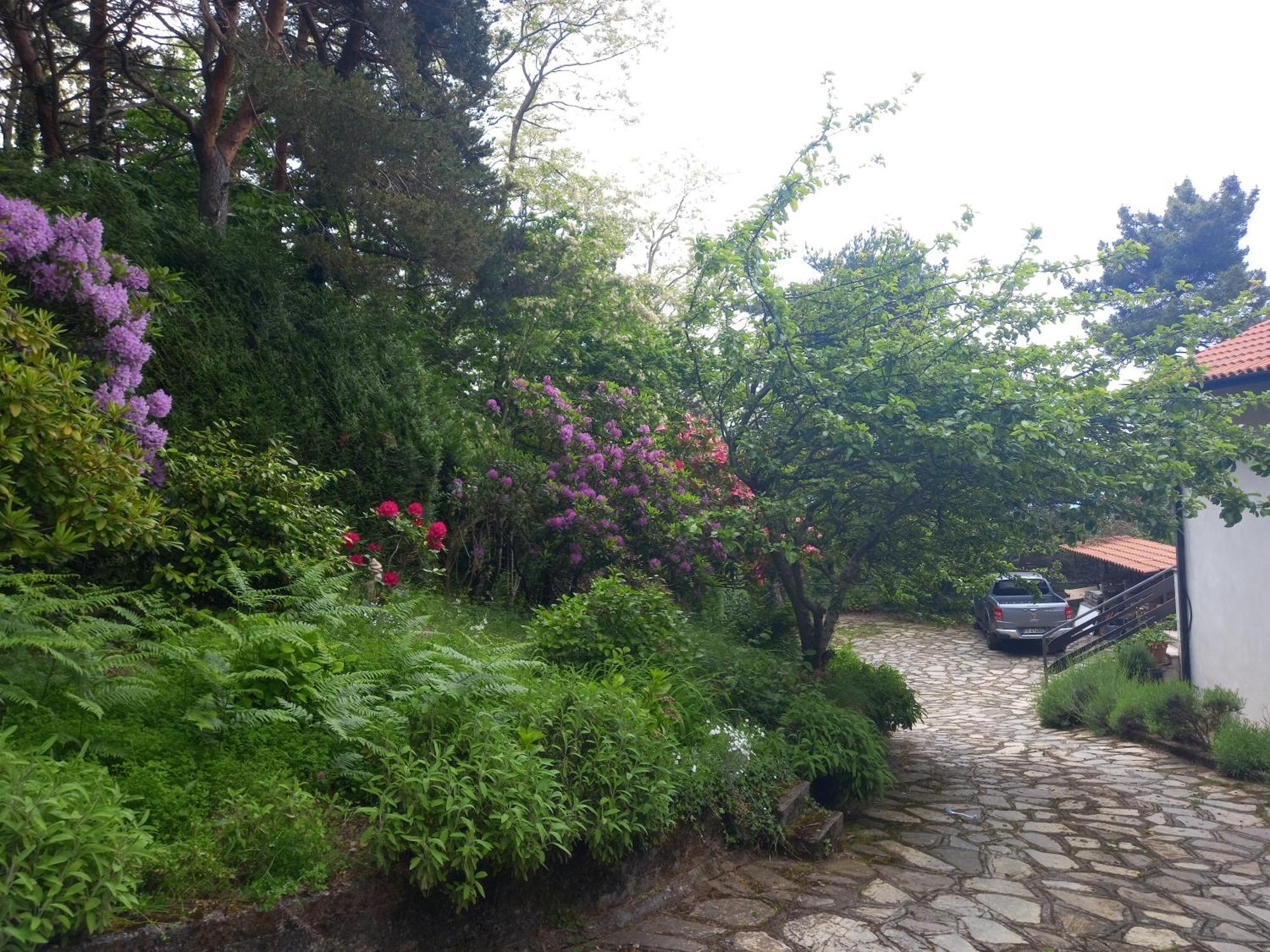 B&B Le Camelie Del Bosco Baiardo エクステリア 写真