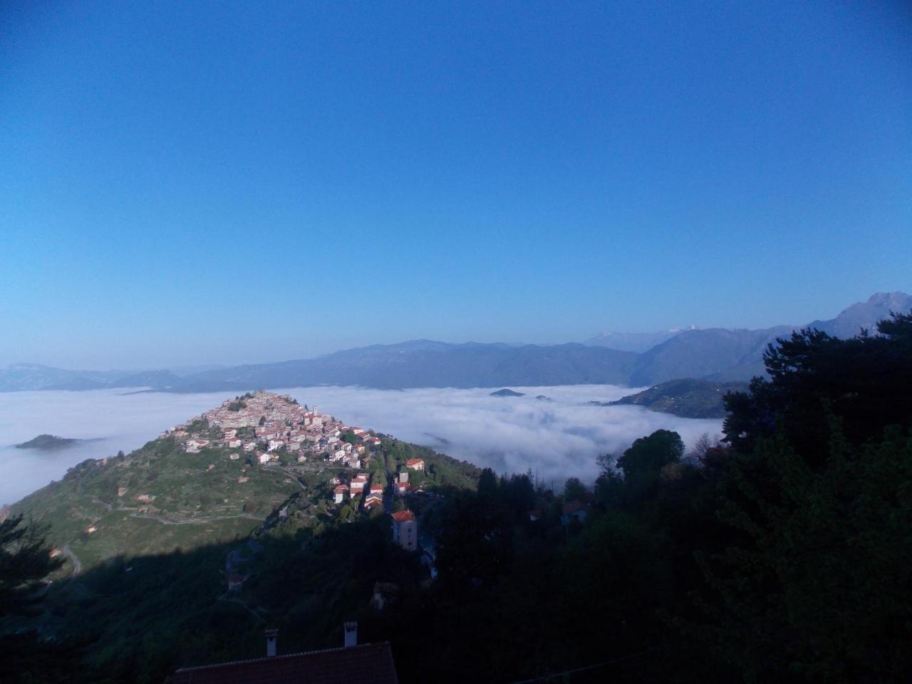B&B Le Camelie Del Bosco Baiardo エクステリア 写真