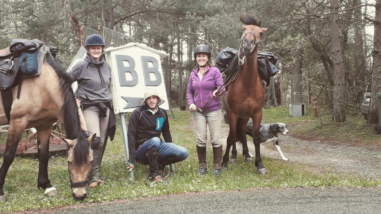 B&B Le Camelie Del Bosco Baiardo エクステリア 写真